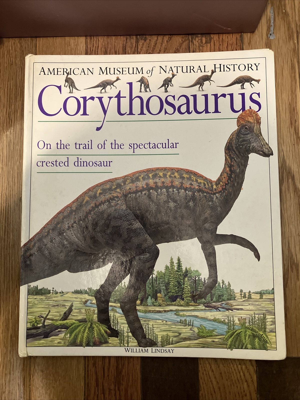 Corythosaurus by William Lindsay 1993 1st Ed. DK Publishers Hardcover