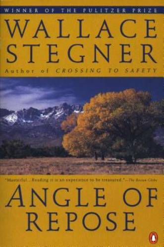 Angle of Repose (Contemporary American Fiction) – Paperback – GOOD