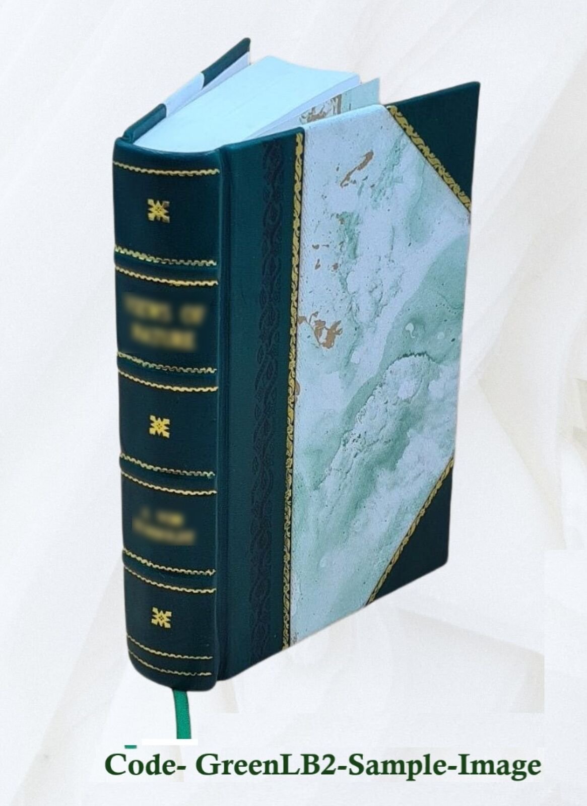 Regula Placitandi: A Collection Of Special Rules For Pleading Fr [Leather Bound]