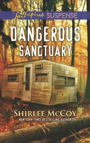 Dangerous Sanctuary by McCoy, Shirlee