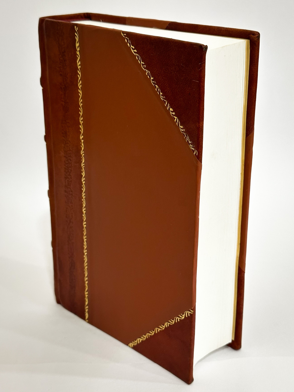 The Acts and Monuments of John Foxe: a New and Compl Vol 5 1838 [Leather Bound]