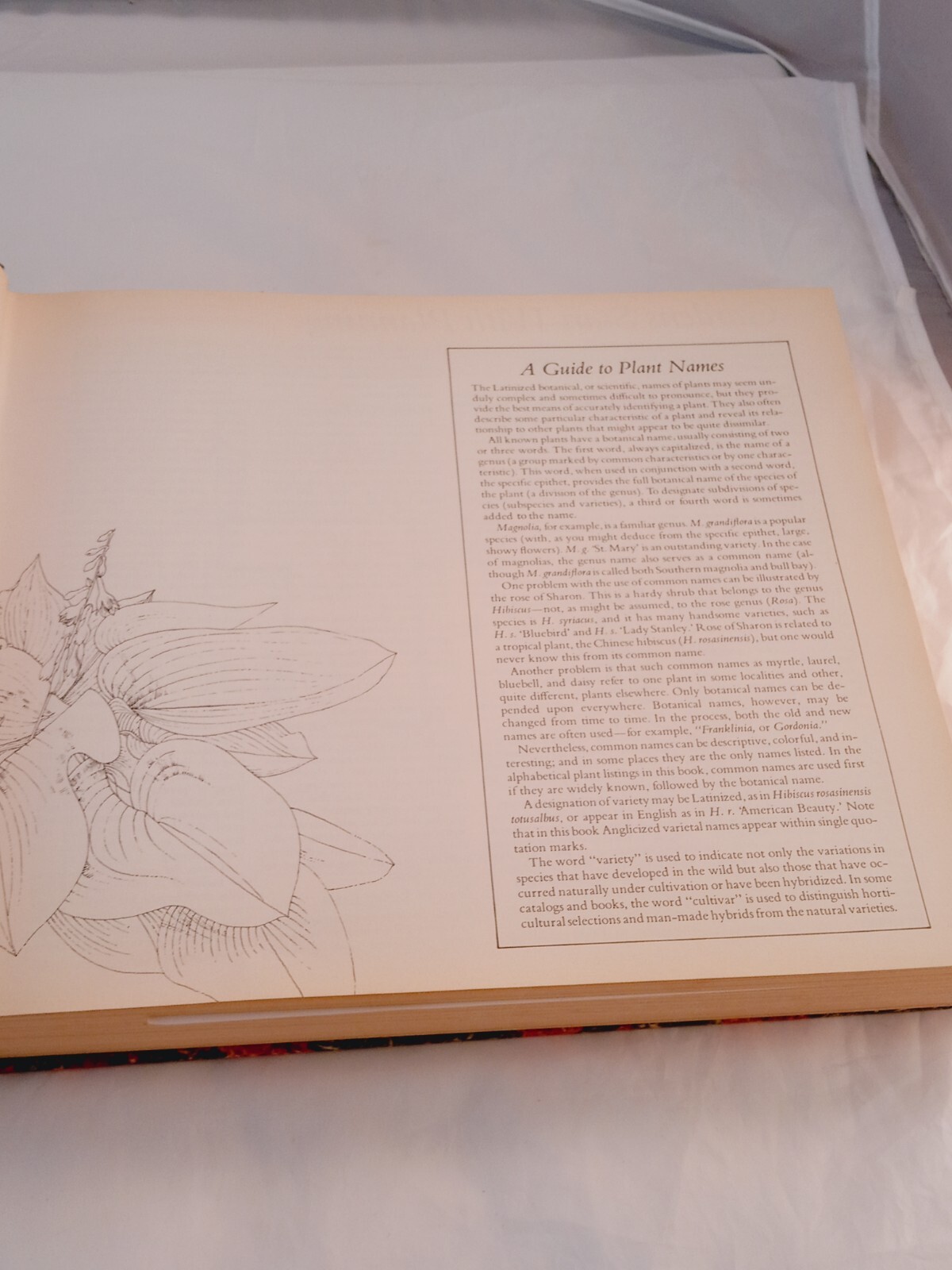 Vintage 1978 Reader’s Digest Illustrated Guide to Gardening Hardcover; 672 pages