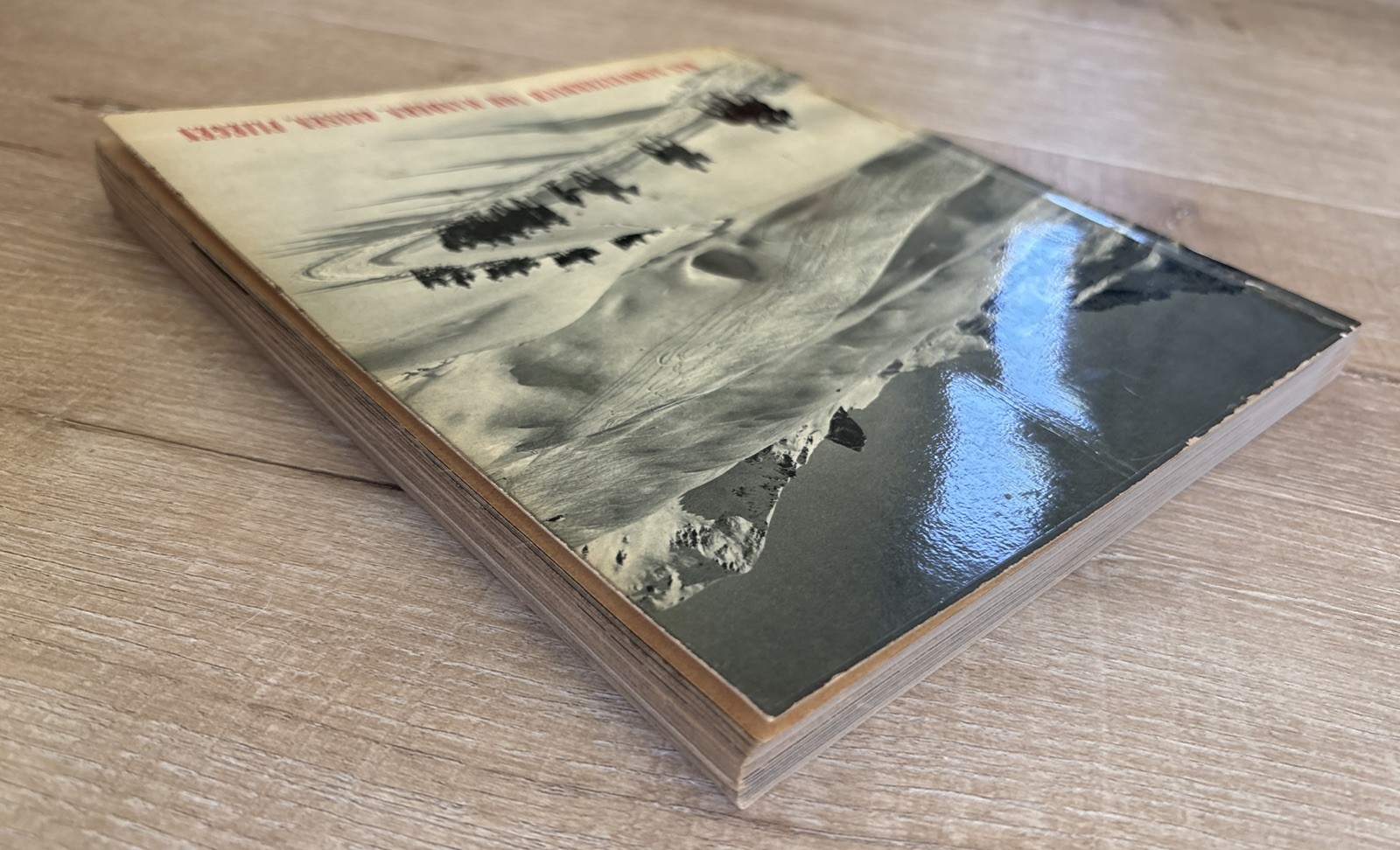 DAS SCHWEIZERBUCH VOM WANDERN, REISEN, FLIEGEN Roedelberger 1956 PB Swiss Photos
