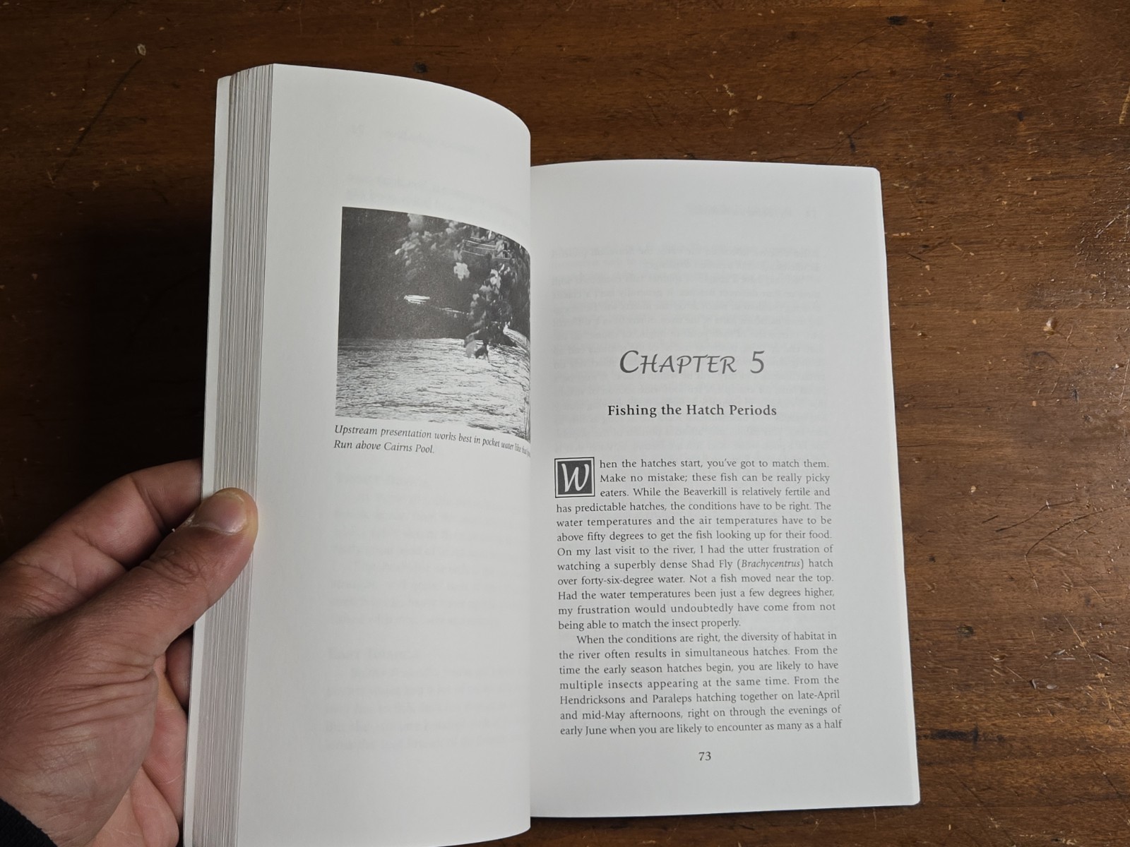 Fly Fishing the Beaverkill by Eric Peper and Gary LaFontaine 2003