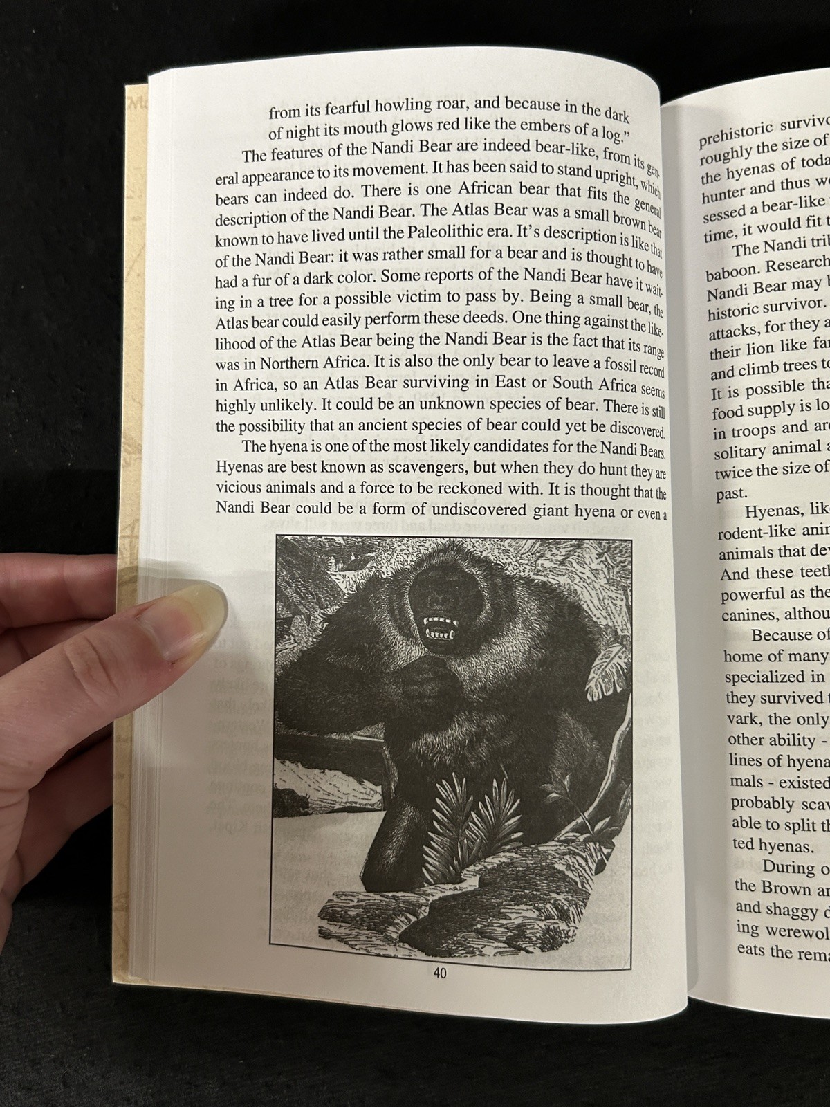 LEGENDS IN CRYPTOZOOLOGY Marc E. W. Miller SIGNED SC Adventures Chasing
