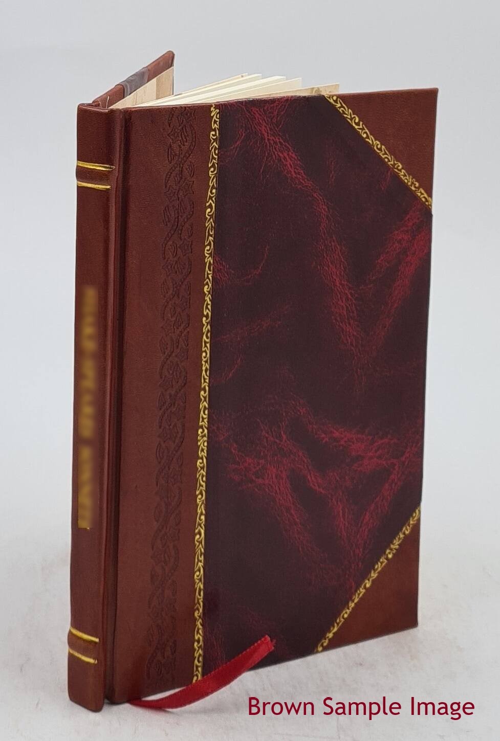 Exegesis: d. i. Verständliche Erklärung des Zwispalts vom h 1575 [Leather Bound