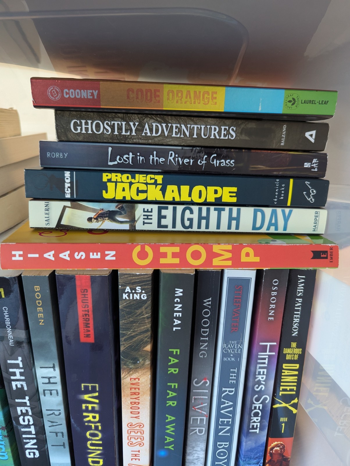Lot of 27 Chapter Books for BOYS Young Adults Children RANDOM