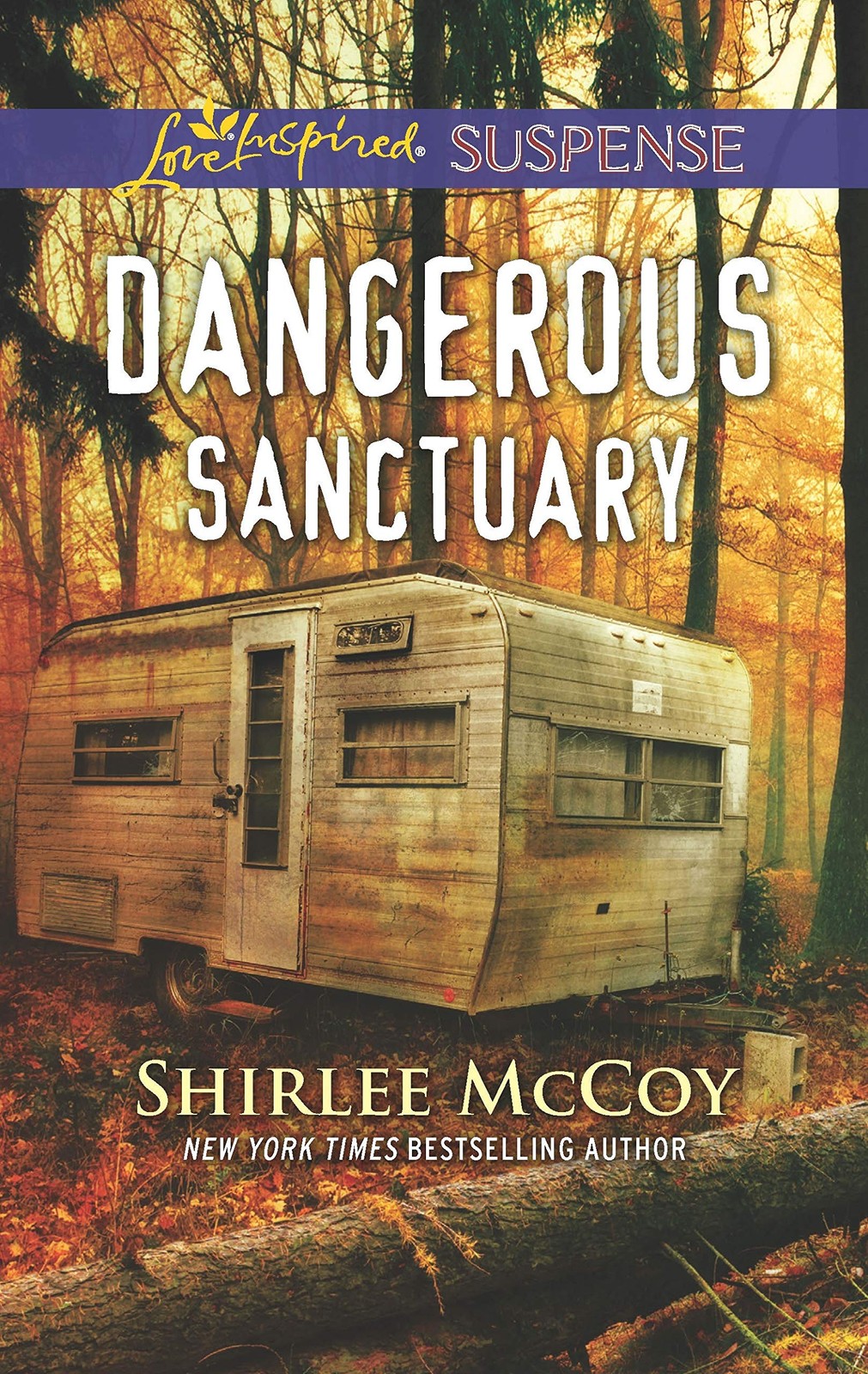 Dangerous Sanctuary (FBI: Special Crimes Unit, 3)