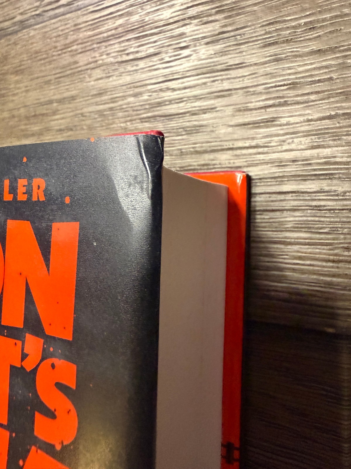 SIGNED The Dungeon Anarchist’s Cookbook By Matt Dinniman Dungeon Crawler Carl 3