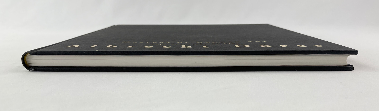 Albrecht Dürer 1471-1528, Anja-Franziska Eichler, 1999, 1st English Ed., HCDJ