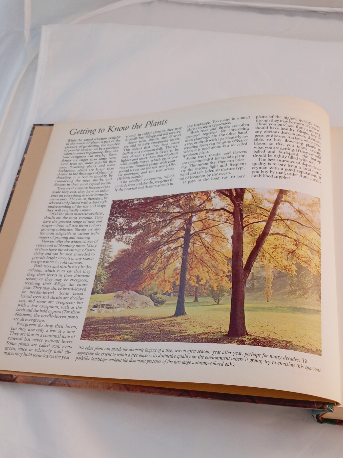 Vintage 1978 Reader’s Digest Illustrated Guide to Gardening Hardcover; 672 pages