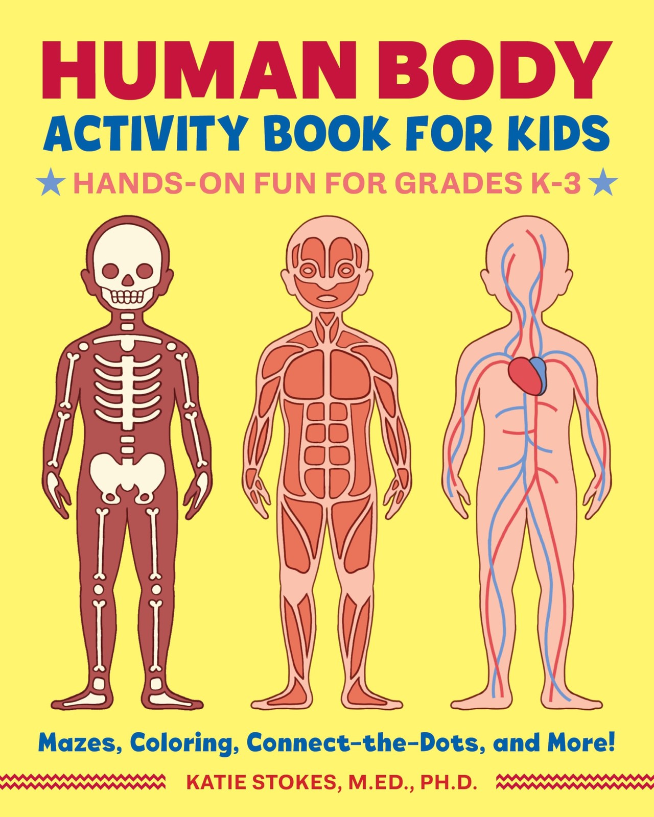 Human Body Activity Book for Kids: Hands-On Fun for Grades K-3 by Katie Stokes