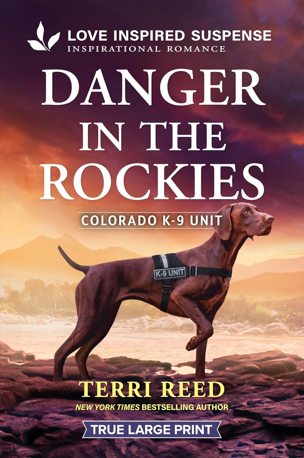 Danger in the Rockies (Original) Paperback by Terri Reed