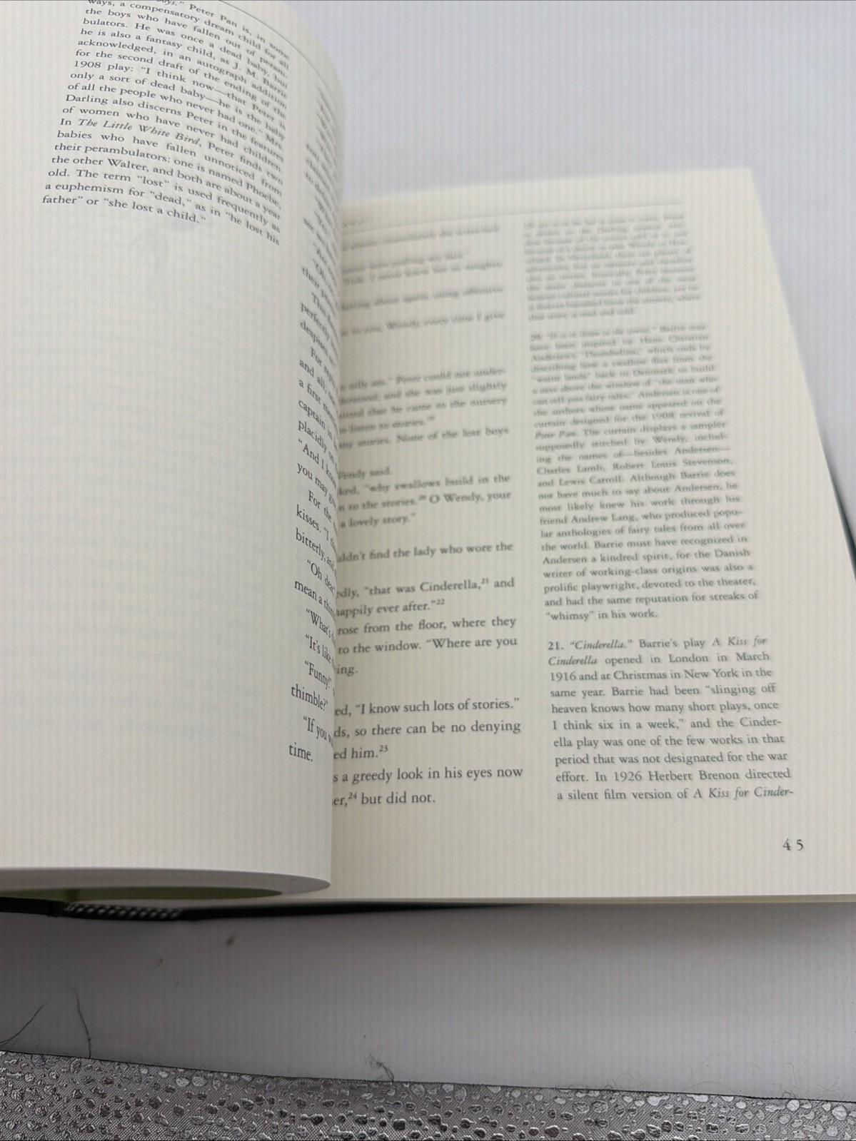 Annotated Peter Pan by J. M. Barrie (2011, Hardcover) Centennial Edition F