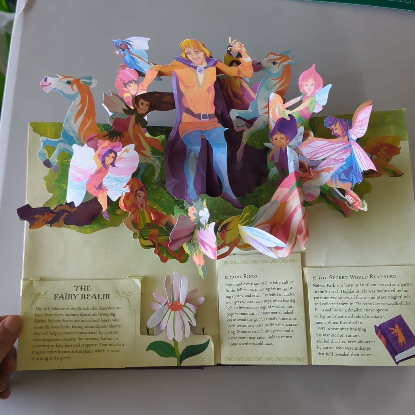 Fairies and Magical Creatures by Matthew Reinhart and Robert Sabuda 2008