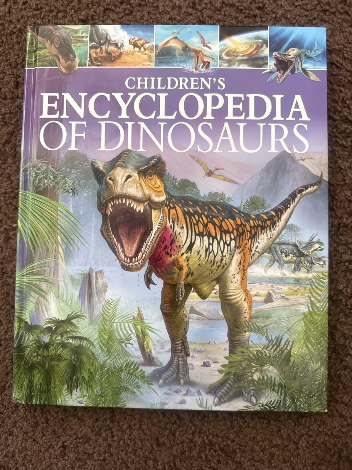 Children’s Encyclopedia of Dinosaurs – Hardcover By Hibbert, Clare – GOOD