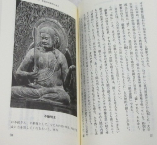 Esoteric Buddhism Magic Rituals Japanese Occult Guide Book