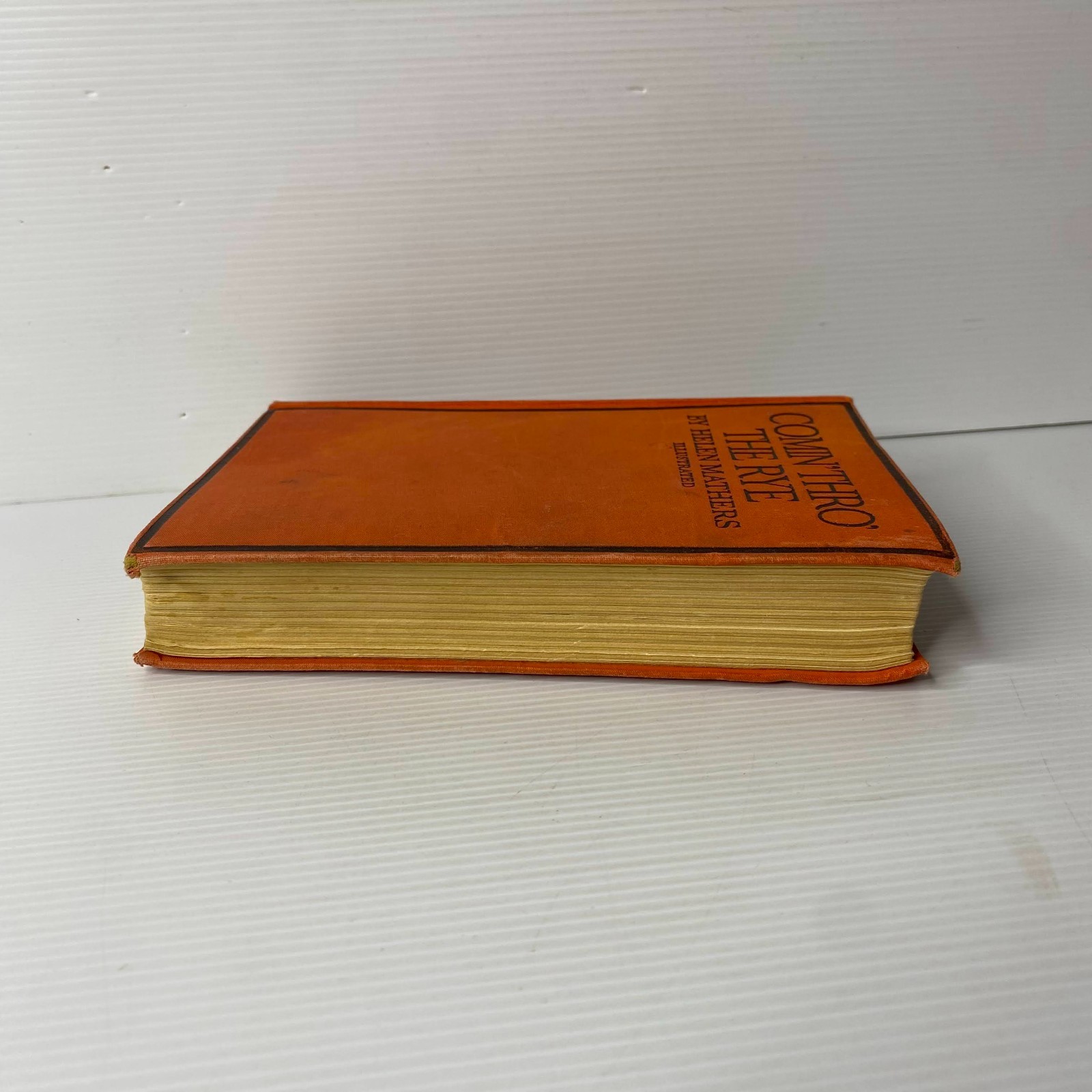Comin’ Thro’ the Rye by Helen Mathers