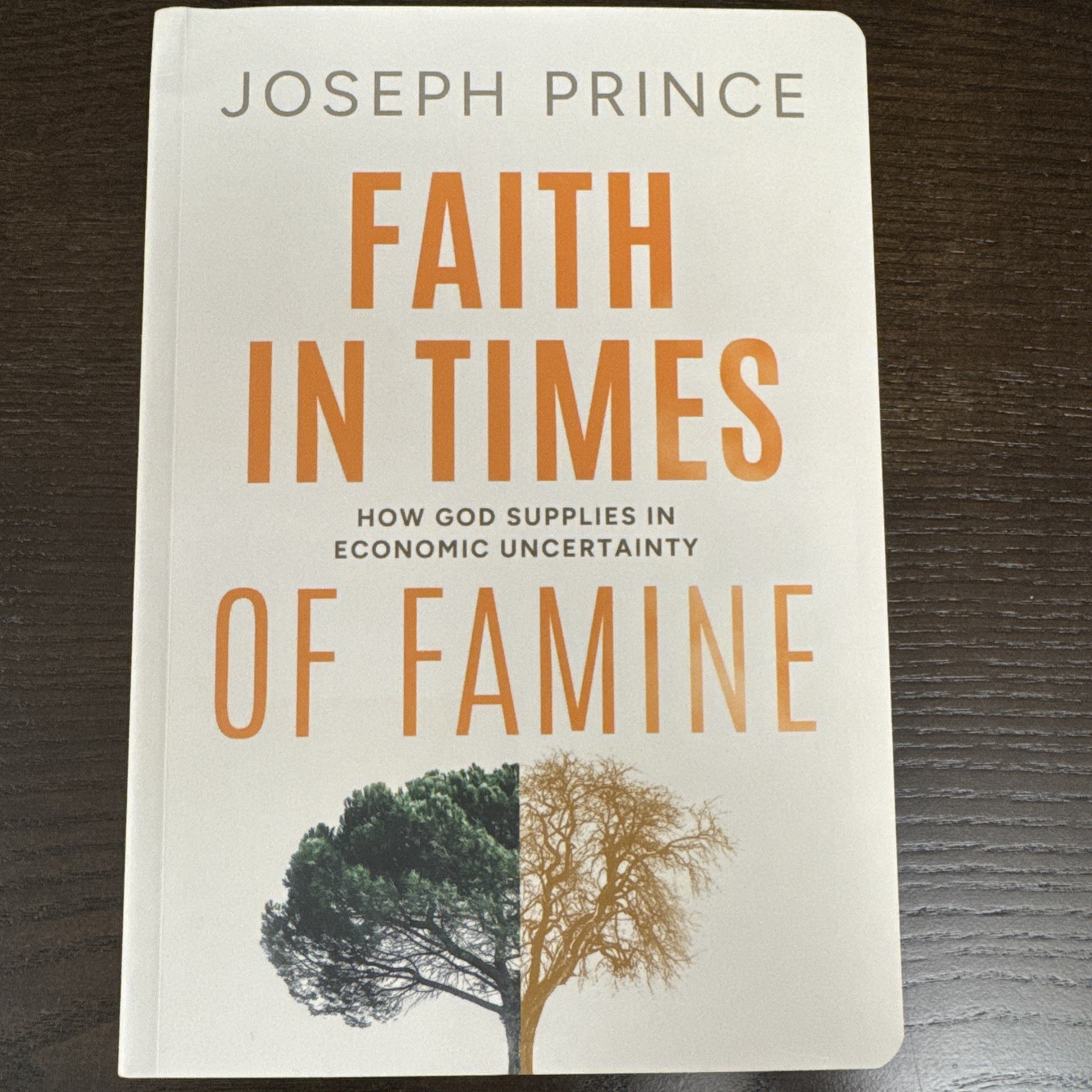 Faith In Times Of Famine By Joseph Prince (Paperback) NEW