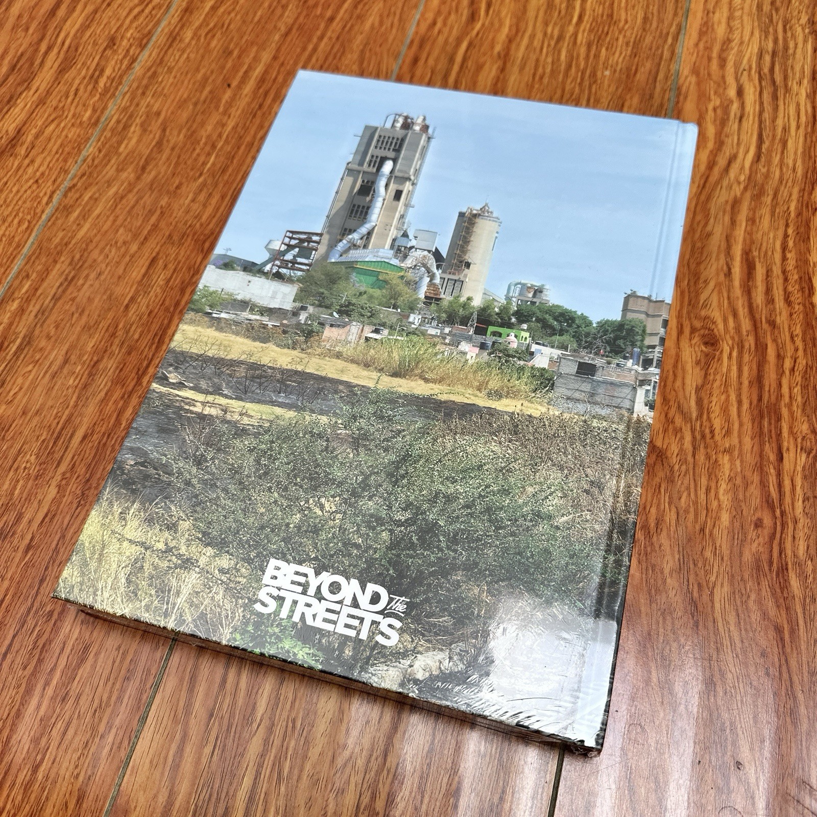 Pablo Allison Light Of The Beast Expanded 2nd Edition Book Beyond The Streets