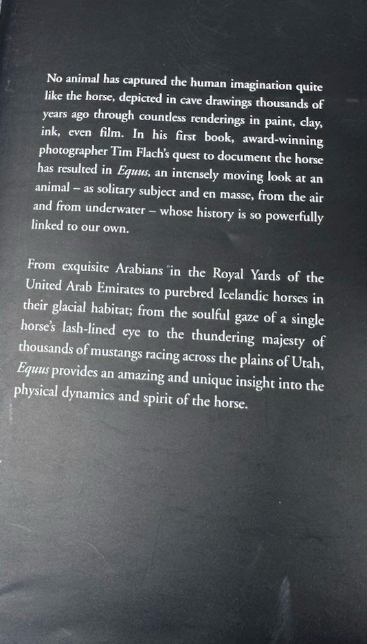 Flach Equus (Hachette/International Edition)