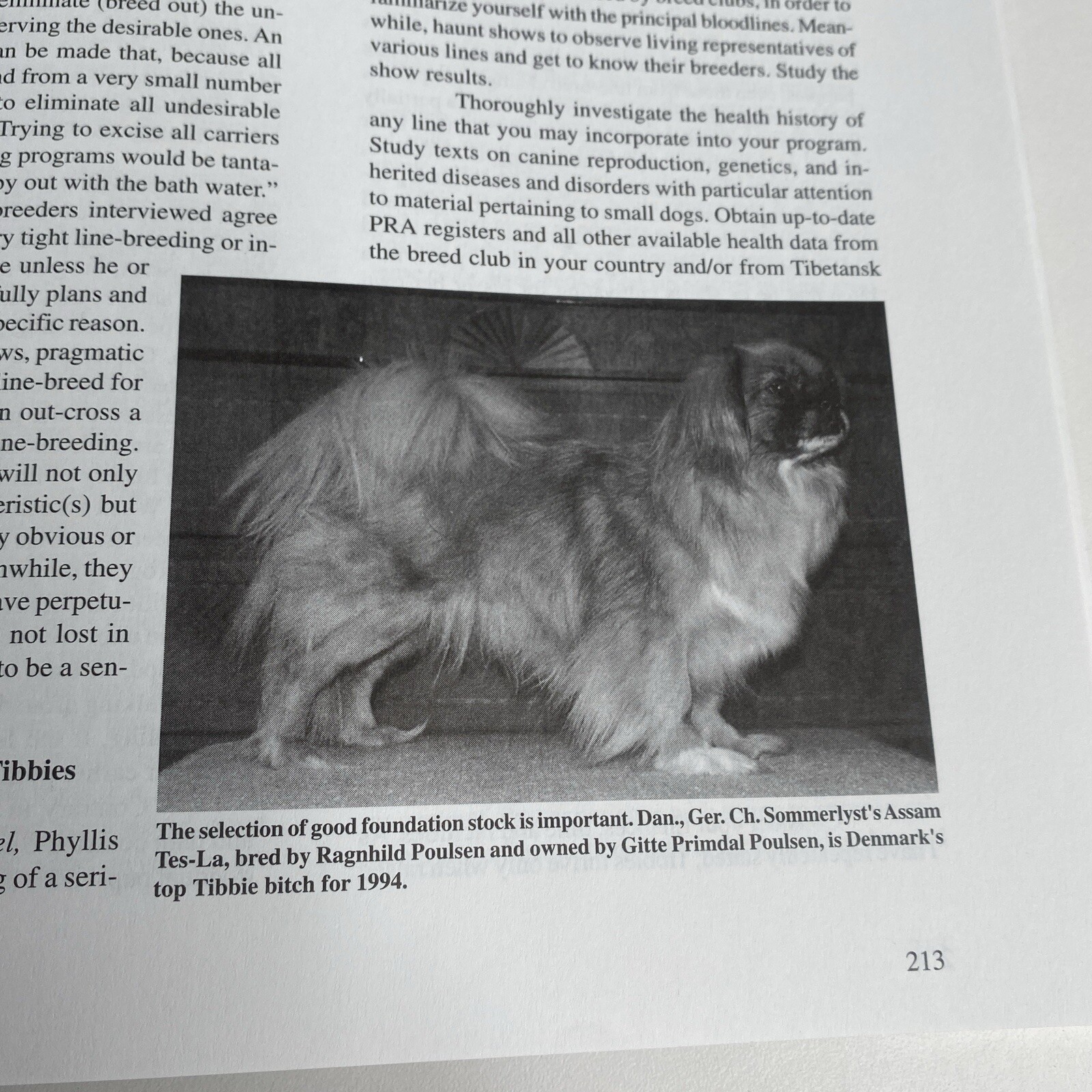 The Tibetan Spaniel: A Gift From The Roof Of The World Susan Miccio 254 pages