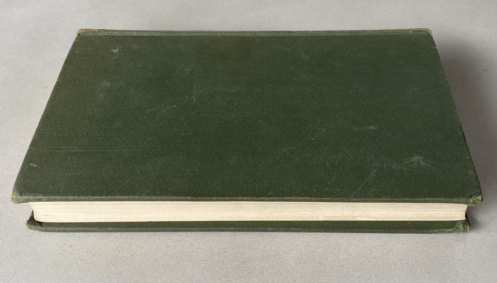 Outlines of Chordate Development by William Kellicott (1934 Hardcover)