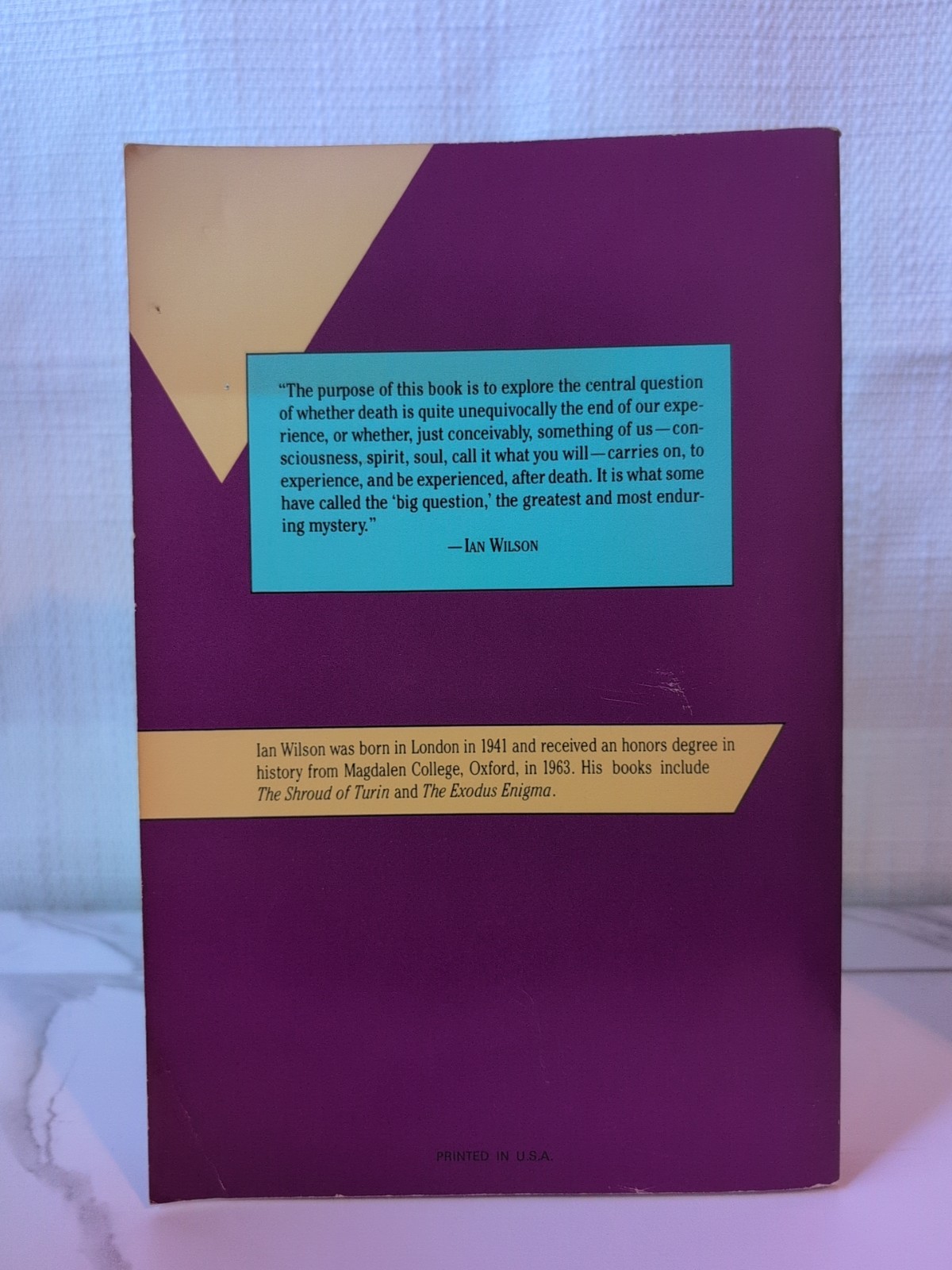 The After Death Experience: The Physics of the Non-Physical by Ian Wilson [1989]