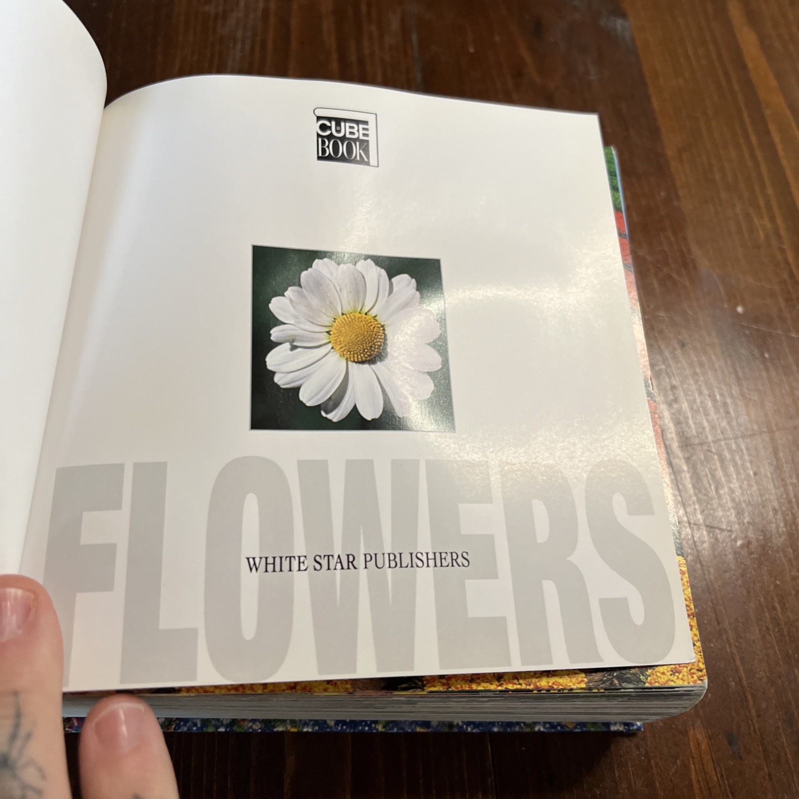 Flowers Cube book Valeria Manferto De Fabianis Hardback 736 pages
