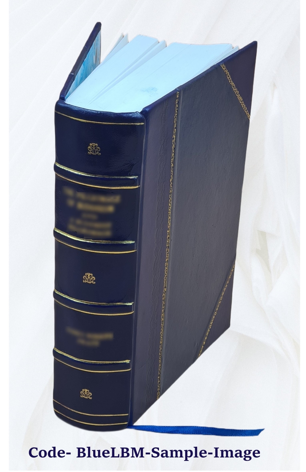 Athanasii Kircheri e Soc. Jesu mundus subterraneus, in XII libro [Leather Bound]