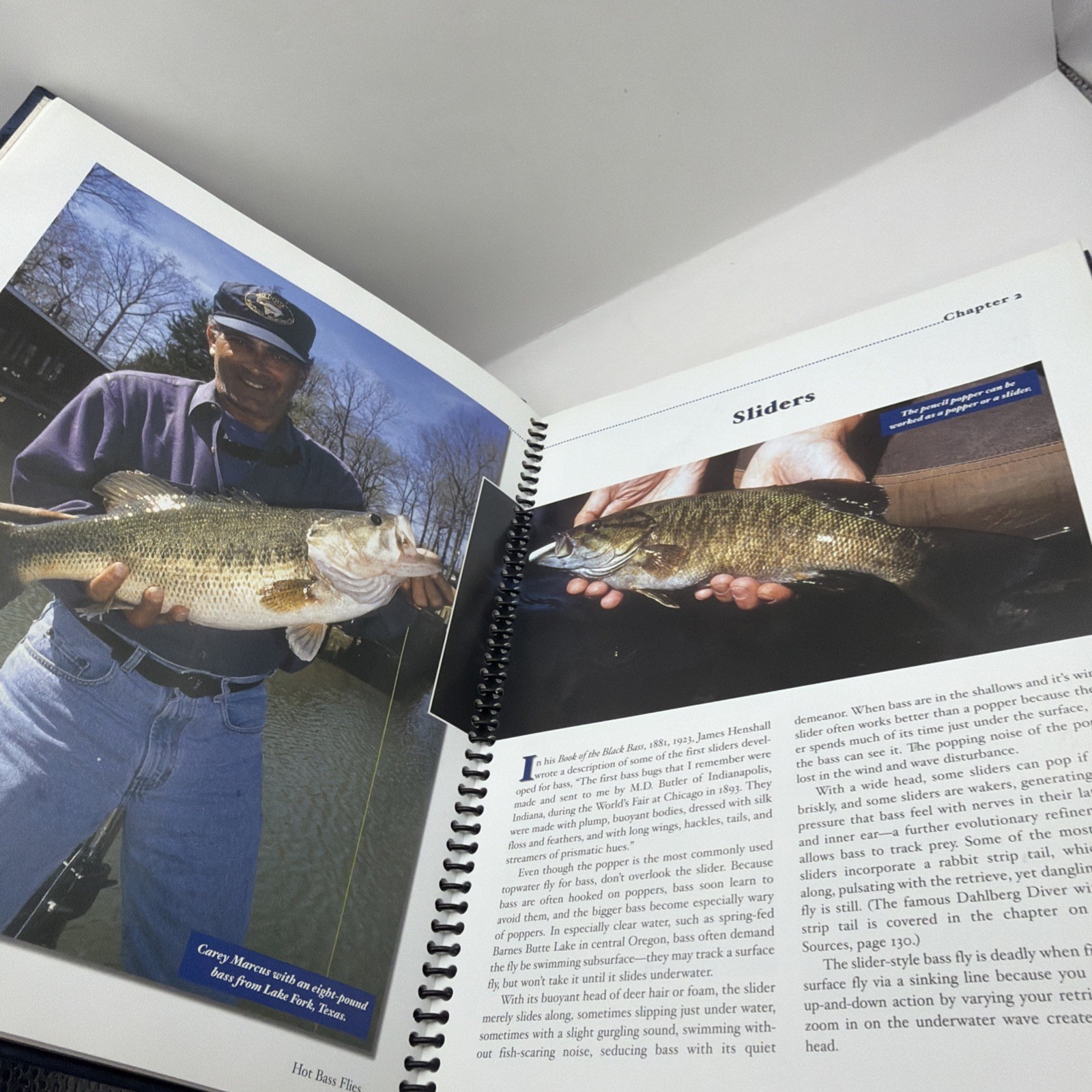 Hot Bass Flies : Patterns and Tactics from the Experts by Deke Meyer (2003,…
