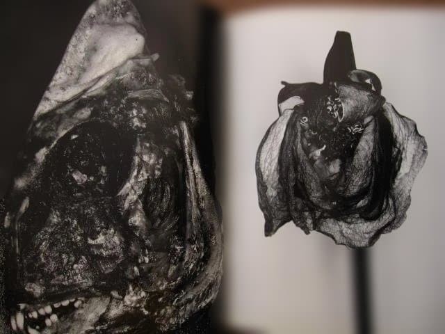Nobuyoshi Araki “Erotos” Photo Book First edition Hardcover Japanese