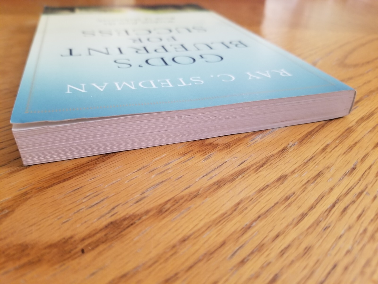 God’s Blueprint for Success : Wisdom from the Book of Nehemiah by Ray C. Stedman
