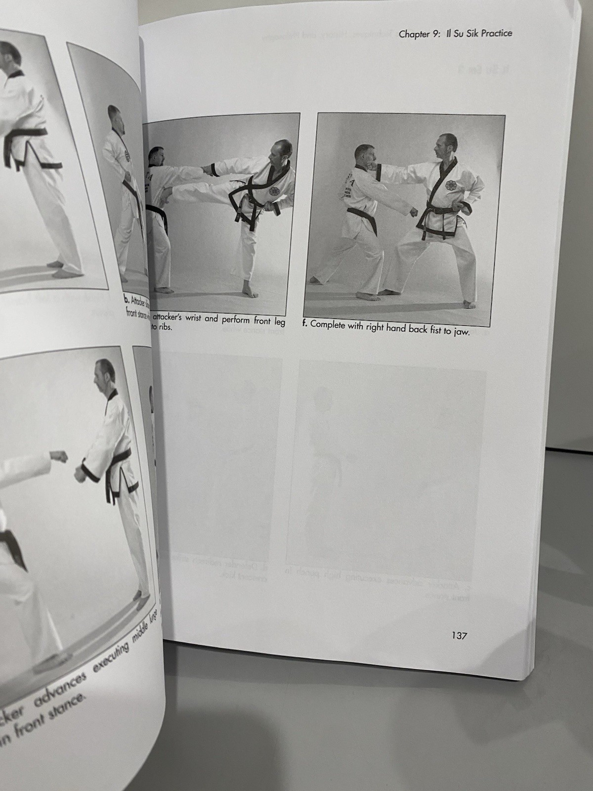 Traditional Taekwondo : Core Techniques, History, and Philosphy D