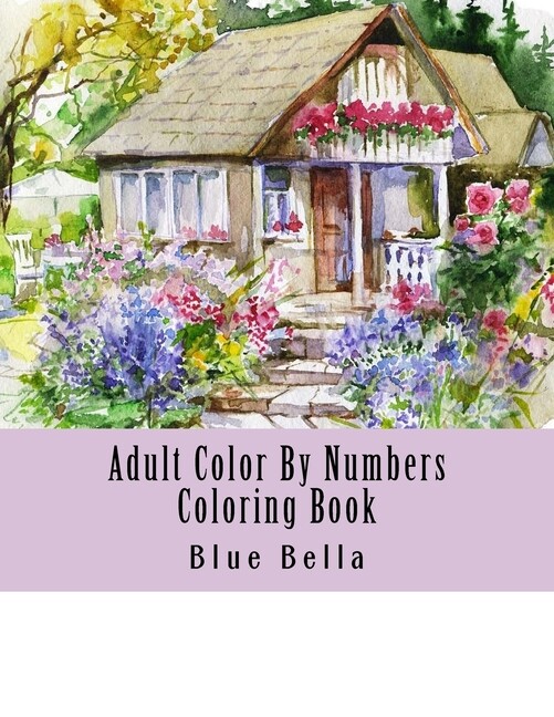 Adult Color By Numbers Coloring Book: Easy Large Print Mega Jumbo Coloring …