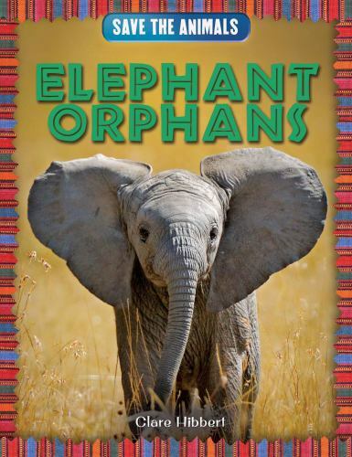 Elephant Orphans by Hibbert, Clare
