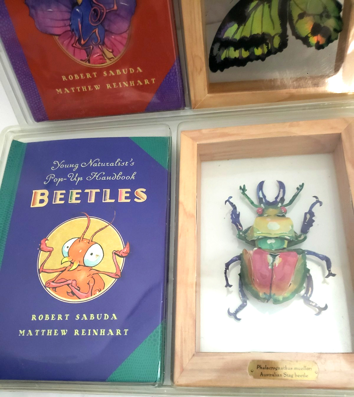 2 NEW BOOKS ROBERT SABUDA AND MATTHEW REINHART “BEETLES & BUTTERFLIES