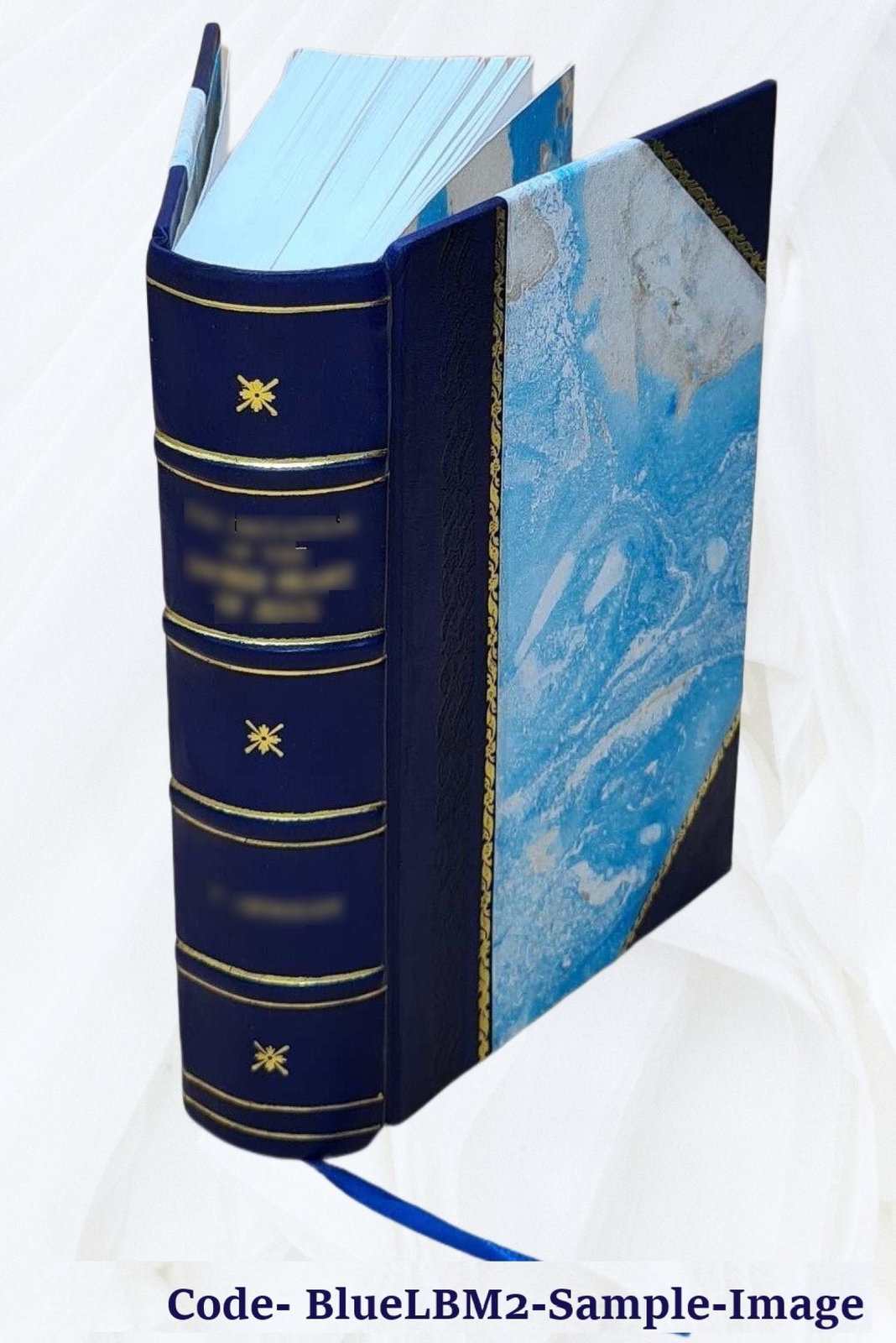 Principles of medicine: comprising general pathology and therape [Leather Bound]