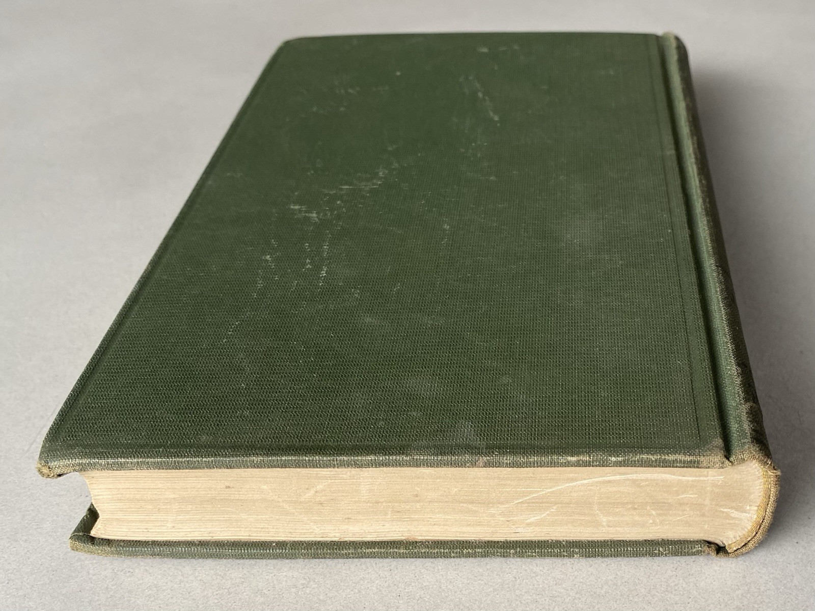Outlines of Chordate Development by William Kellicott (1934 Hardcover)