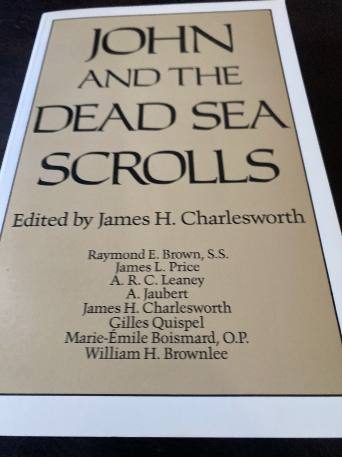 John and the Dead Sea Scrolls by James H. Charlesworth (1990, Trade Paperback)