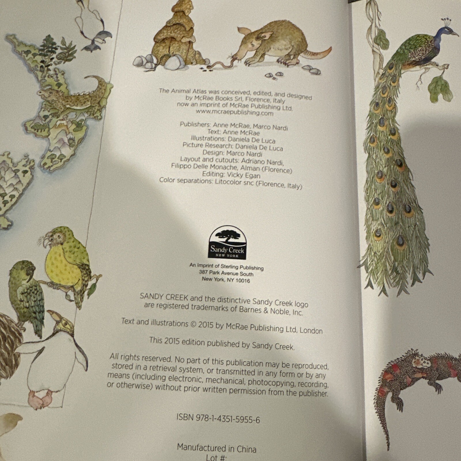 VTG 📚A Treasury Of Children’s Literature” Armand Eisen HCDJ 1992+ Animal Atlas