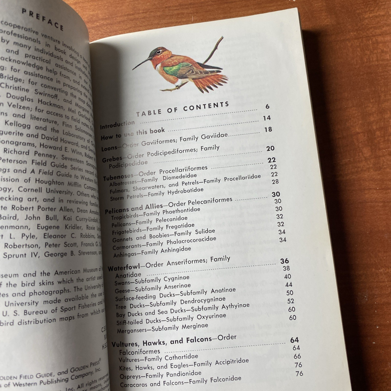 Guide to Field Identification Birds North America Golden Field Guide 1966 Trees