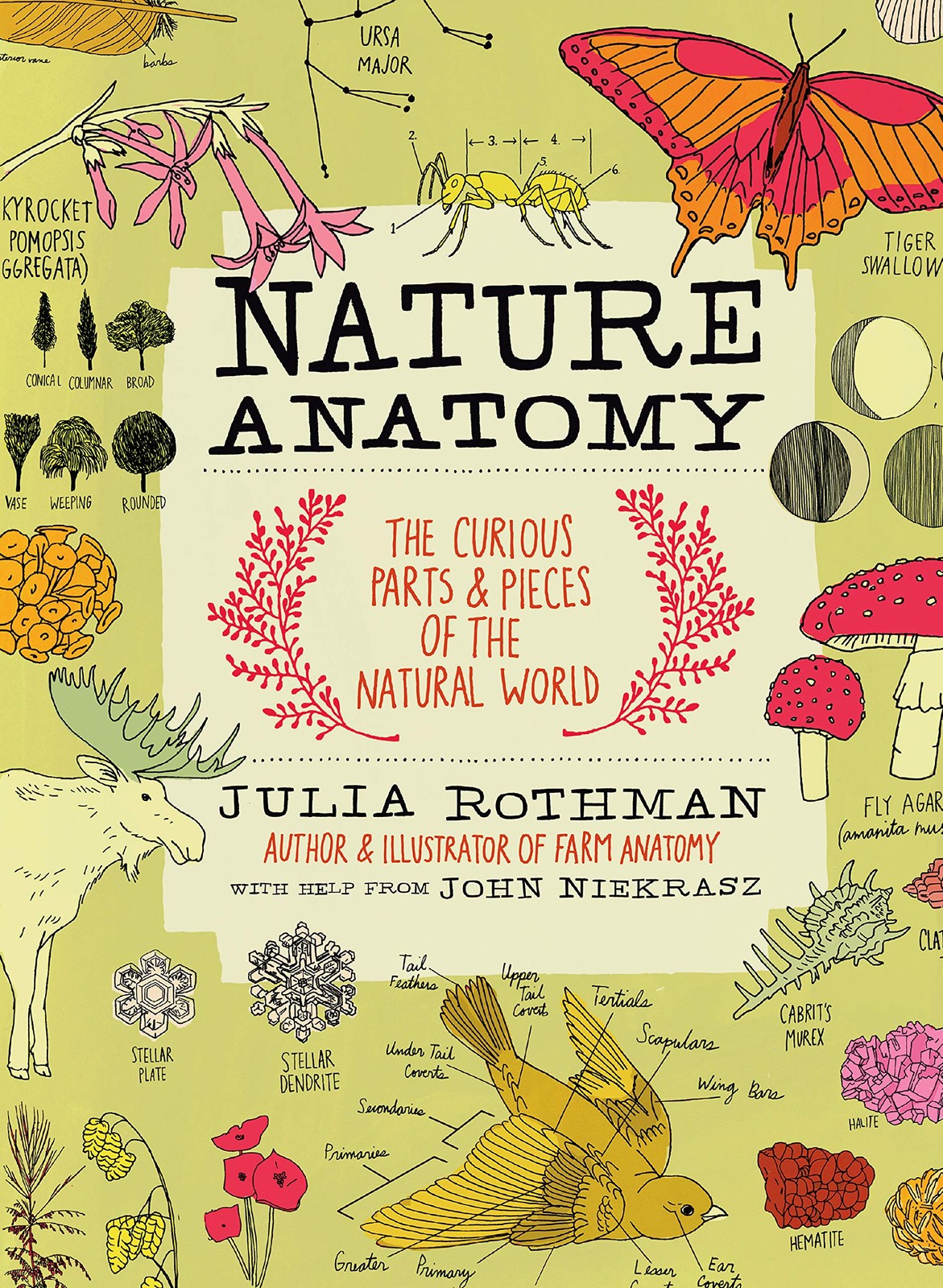 Nature Anatomy: The Curious Parts and Pieces of the Natural World – paperbac…