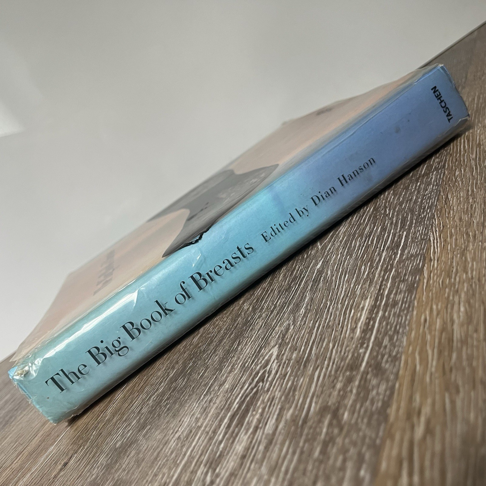 Big Book of Breasts by Dian Hanson (2006, Hardcover)