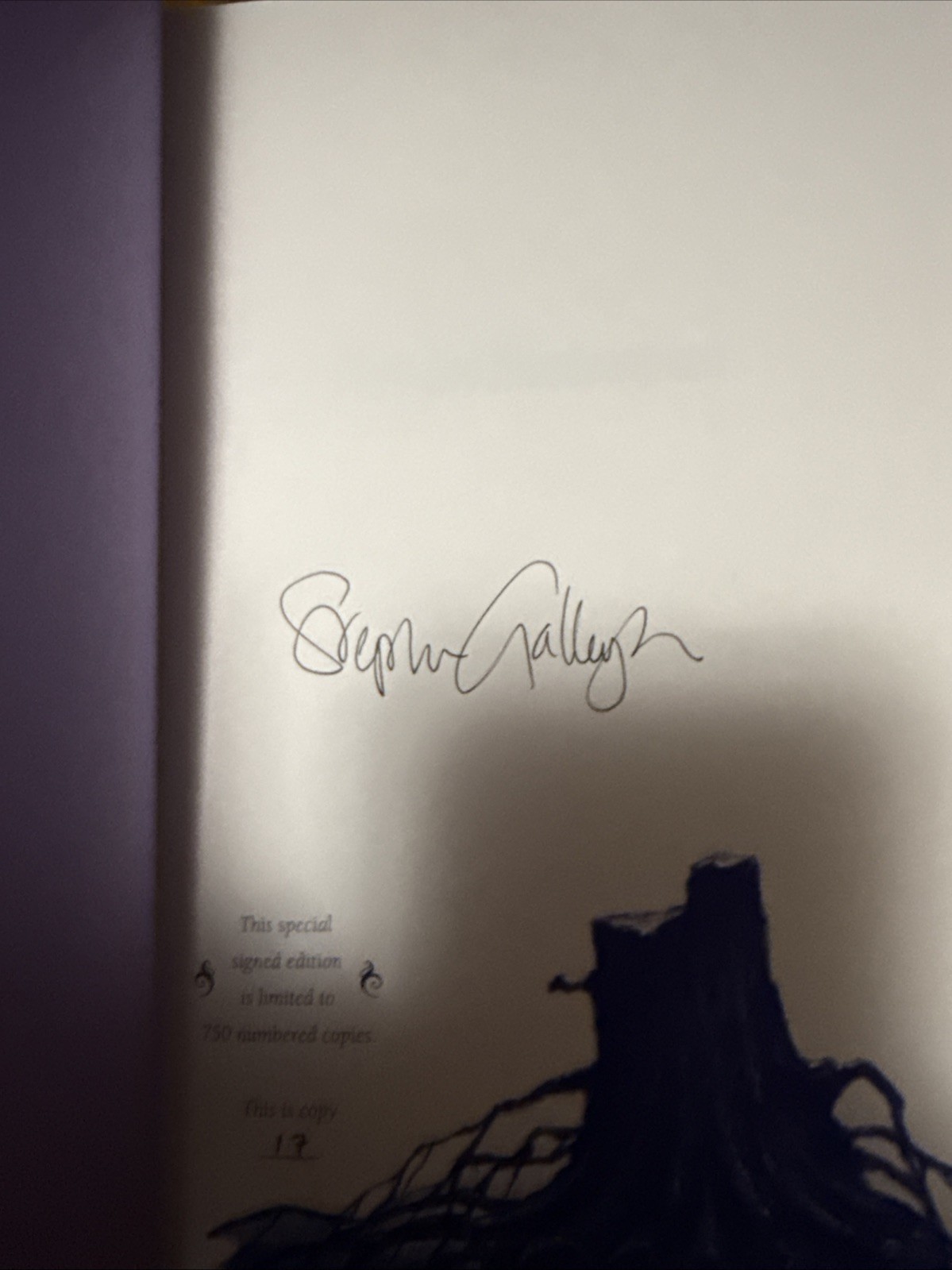 Plots and Misadventures by Stephen Gallagher (2007, Hardcover) /750 Auto