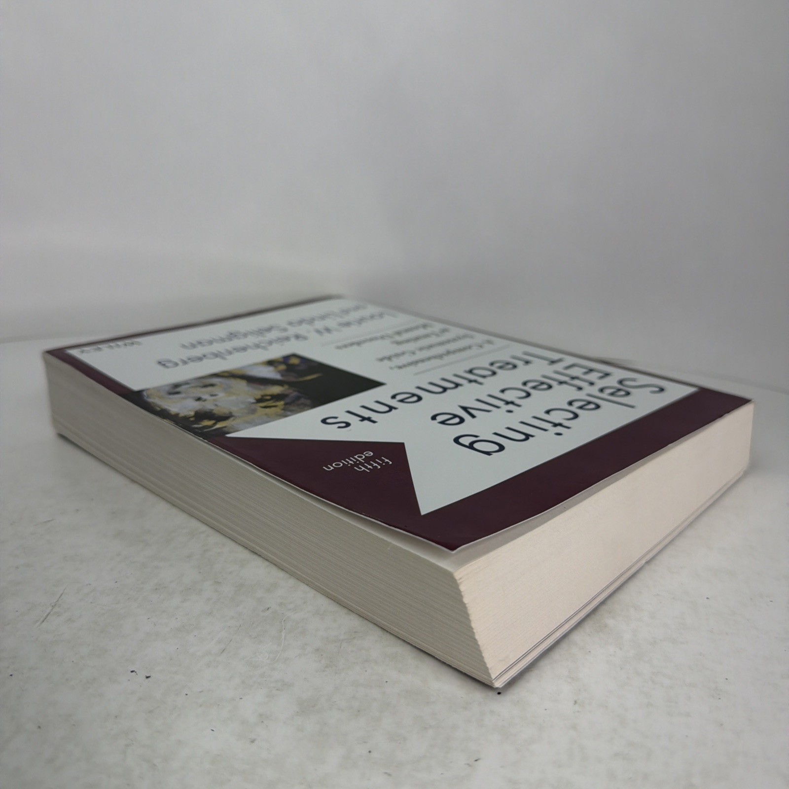 Selecting Effective Treatments: Comprehensive, Systematic Guide…5th Edition PB