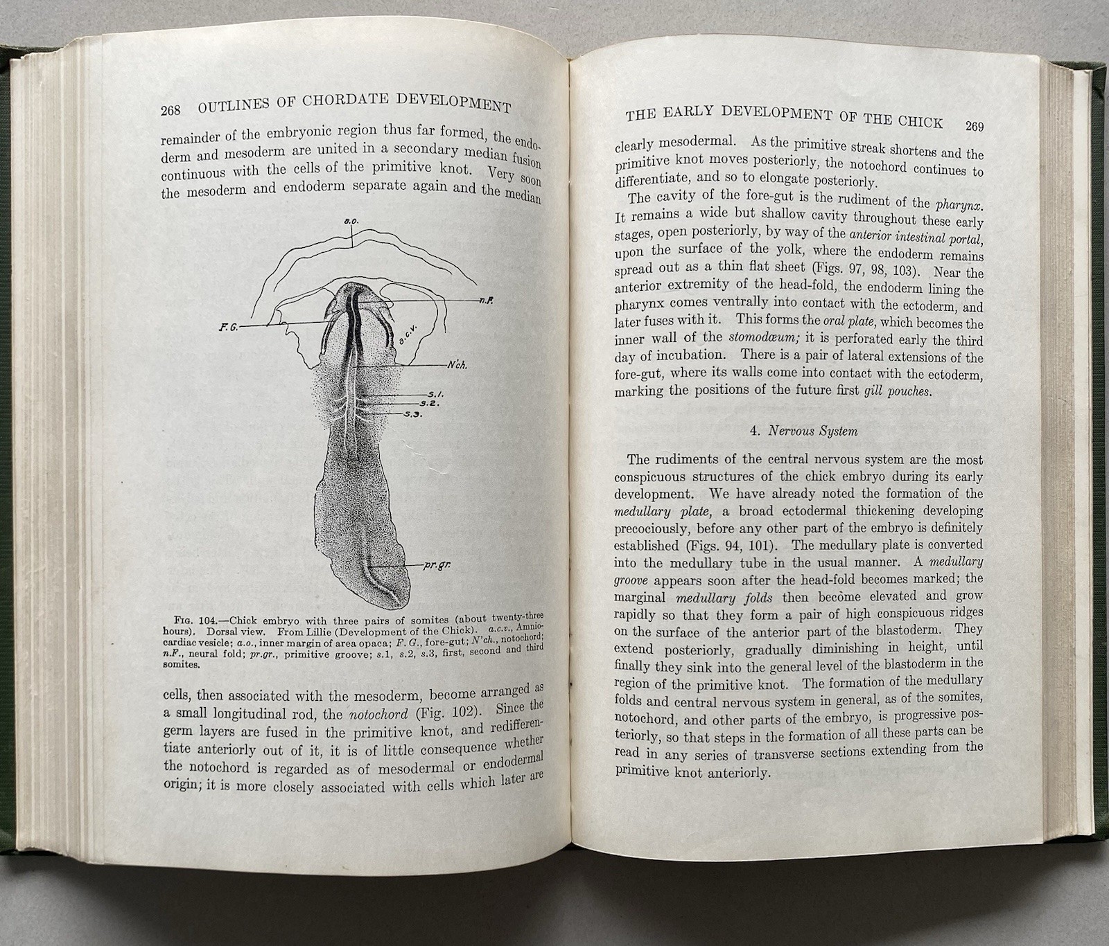 Outlines of Chordate Development by William Kellicott (1934 Hardcover)