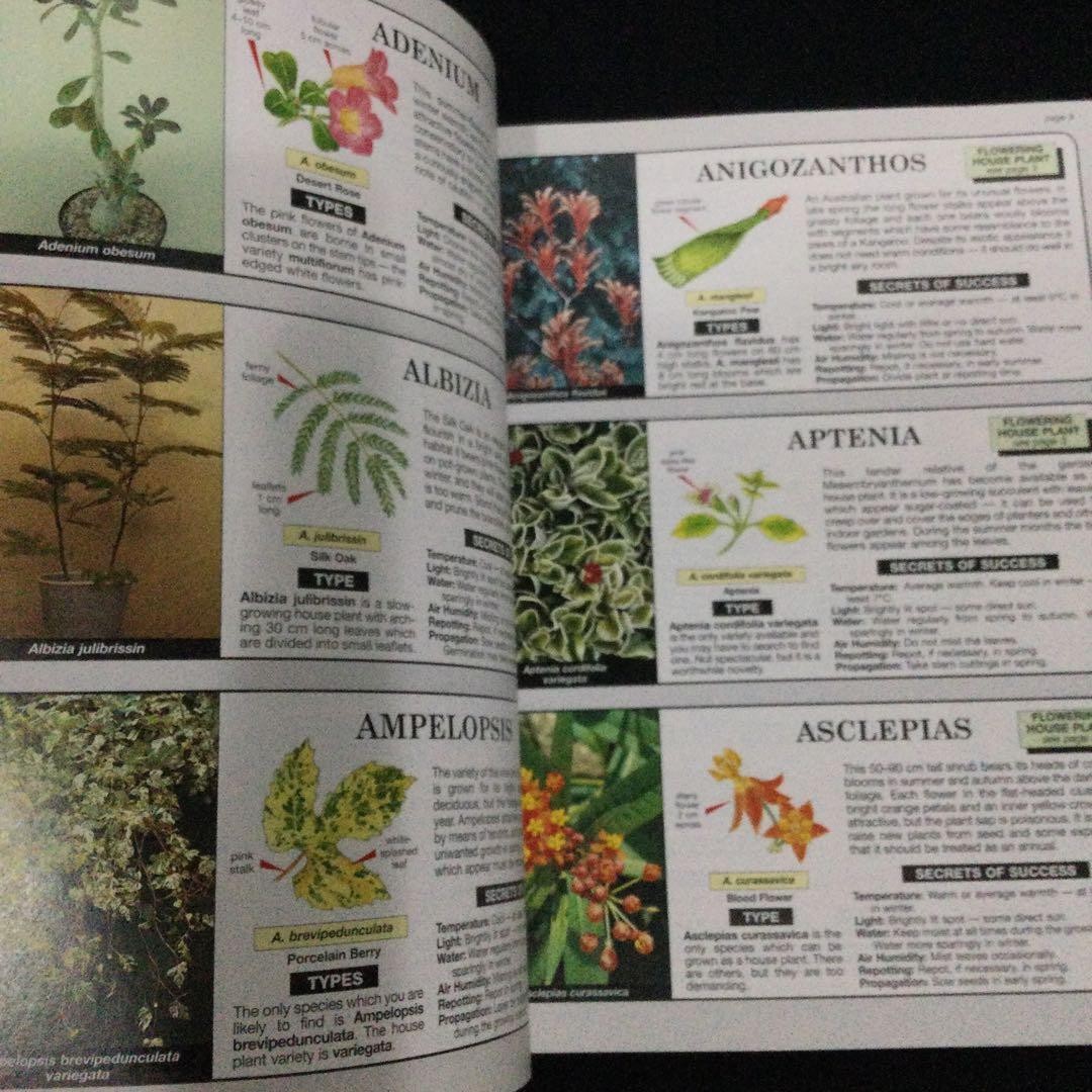 The House Plant Expert Dr. 128 Pages Gardening Plants English Book 9.5×7.1in