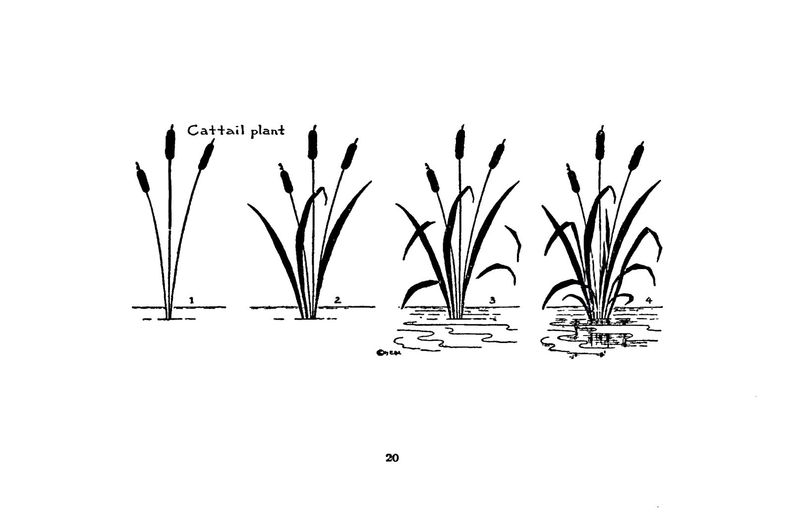 What To Draw And How To Draw It “1913” 76 Pages