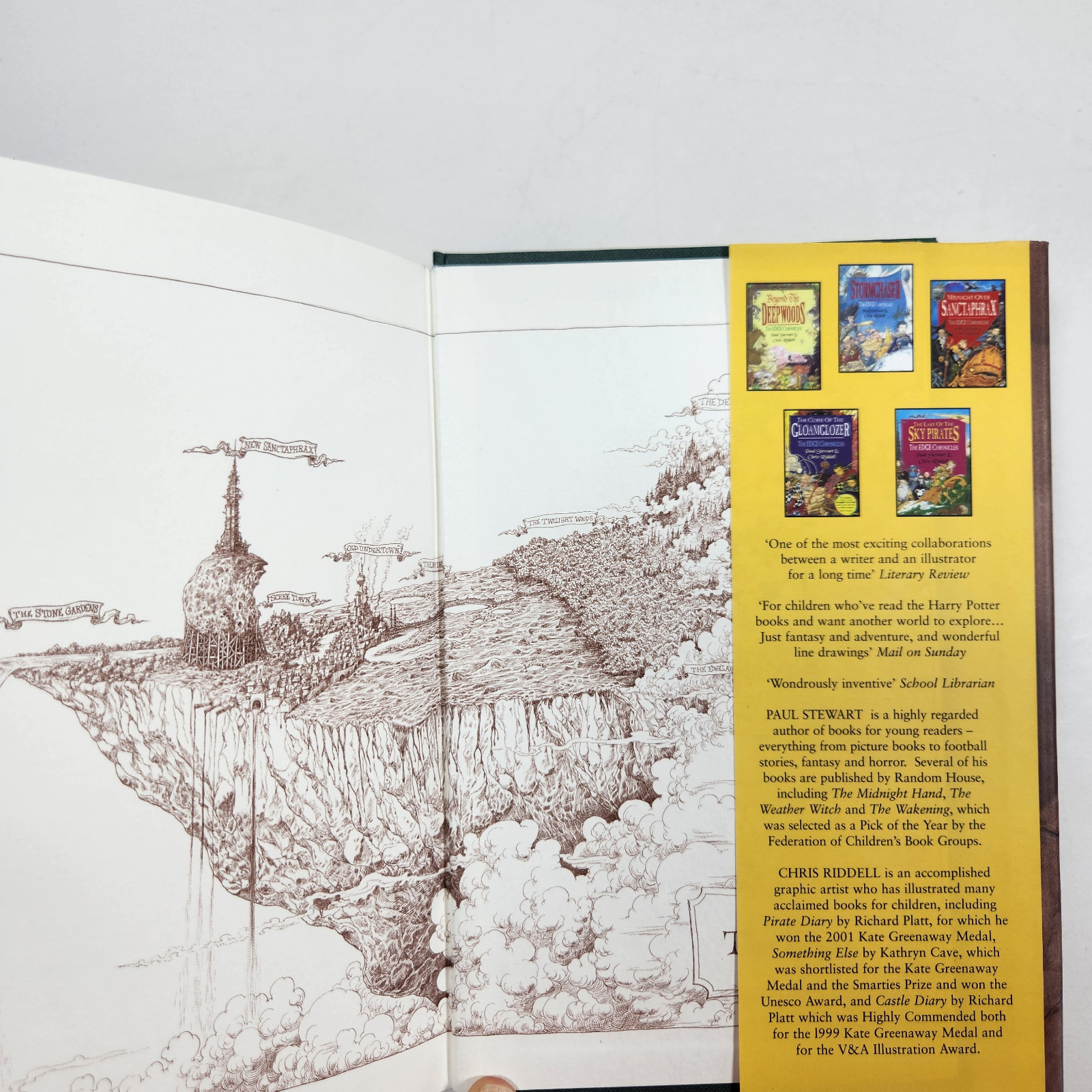 DUAL SIGNED Vox Paul Stewart Chris Riddell UK 1st Ed Sky Pirates Fantasy HC